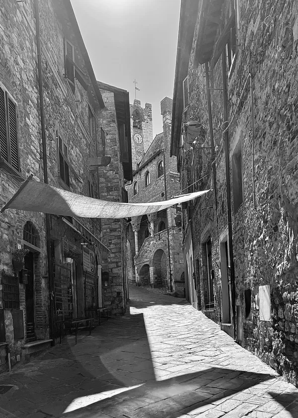 Suvereto